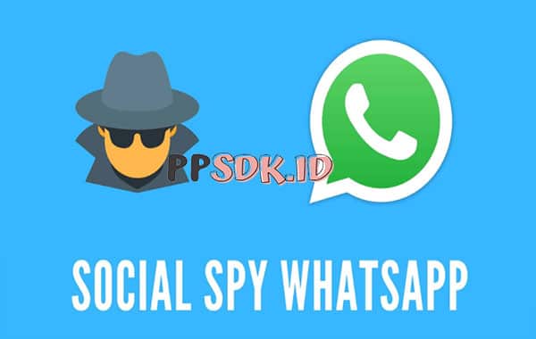 Fitur-Menguntungkan-Dalam-Social-spy-WhatsApp